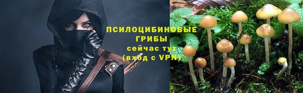 прущая мука Алзамай